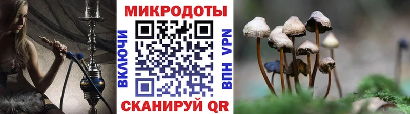 дарнет шоп  ОМГ ОМГ ссылка  Галлюциногенные грибы мицелий  Оханск 